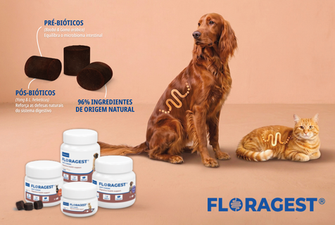 FLORAGEST_Actualidades site.png