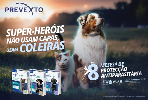 PREVEXTO_Actualidade Site.png