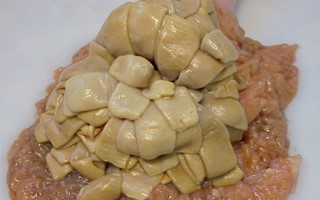 parasitas equinos