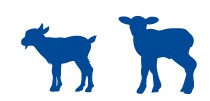 CORDEIRO&CABRITO_pictos.jpg