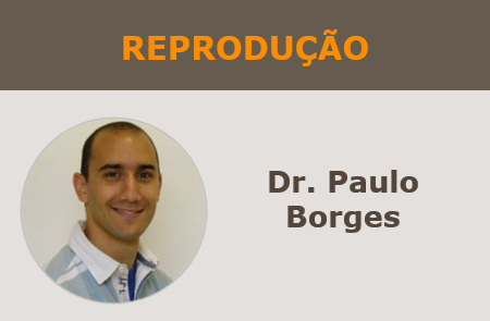 Reprodução_Dr Paulo Borges.png