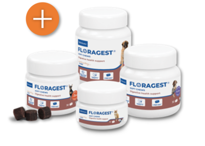 Floragest_packshot_ver-mais.png
