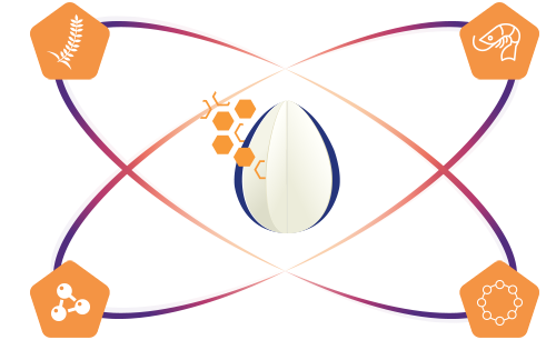 Movoflex-high-quality-ingredients-egg.png