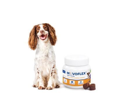 Movoflex-medium-dogs