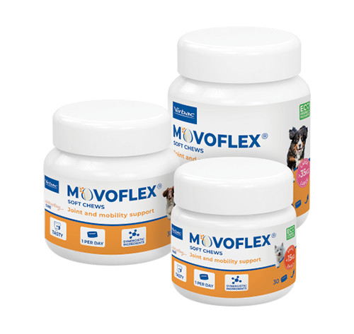 Movoflex Cão - 3 apresentações