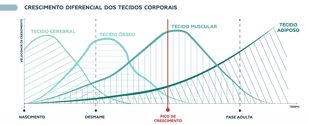 Curva Crescimento Tecidos-crop1080x438.png