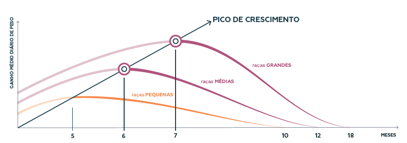 Curva Ganho Médio de Peso.png