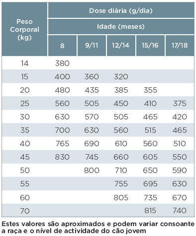 Tabela dosagem_Junior Special L