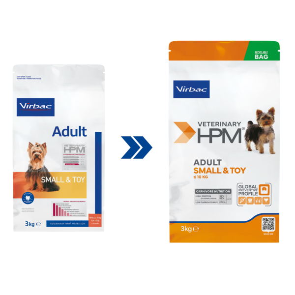 Transição imagem Adult Dog ST