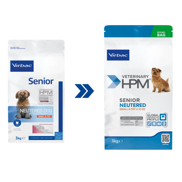 Transição imagem Senior Neutered Dog ST