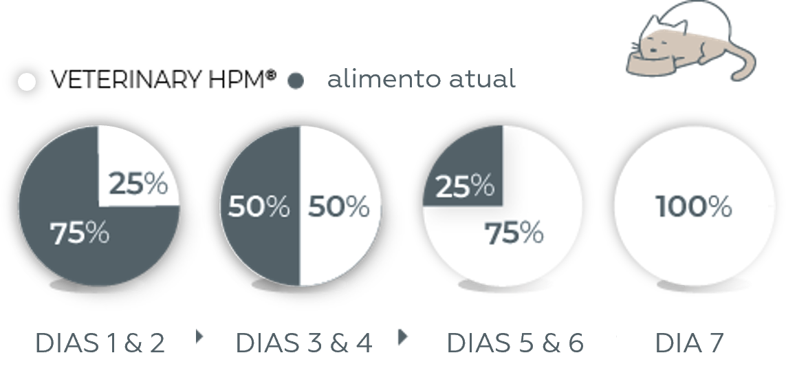 HPM_KJ_Transição alimento.png