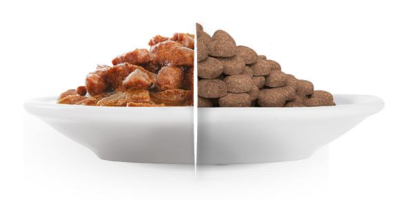 HPM KJ_alimento seco e húmido