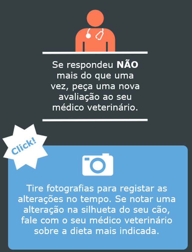 Perguntar vet-tirar foto.png