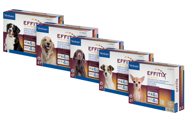 EFFITIX_caixas