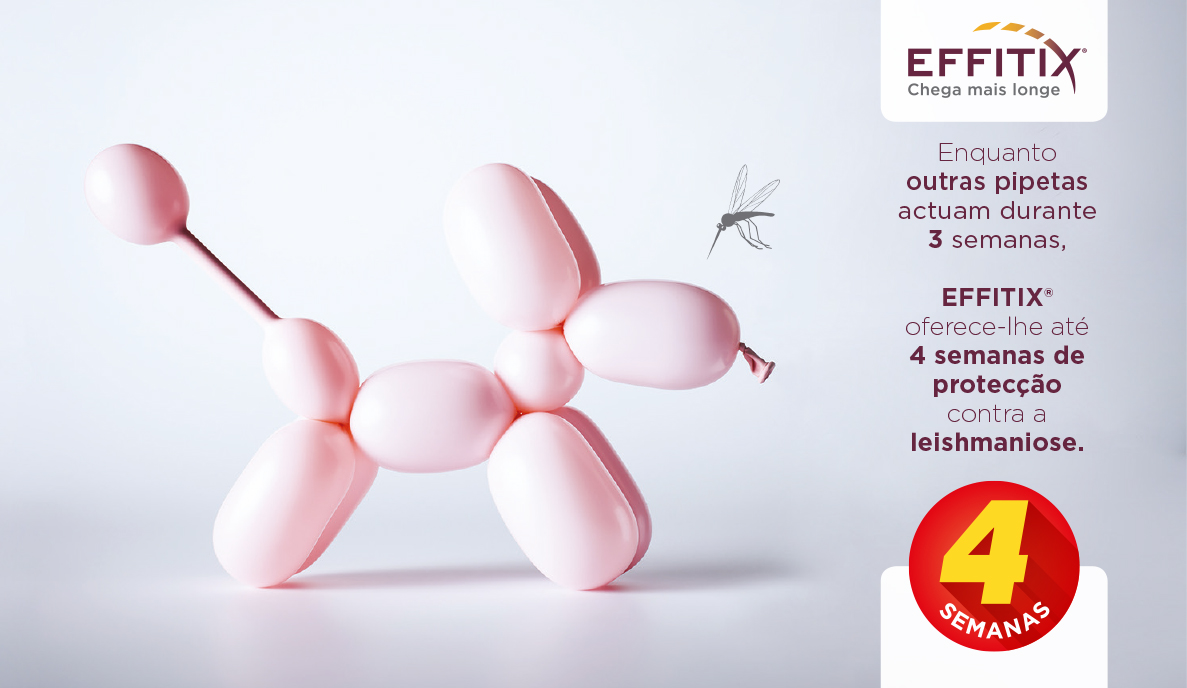 effitix-desparasitante