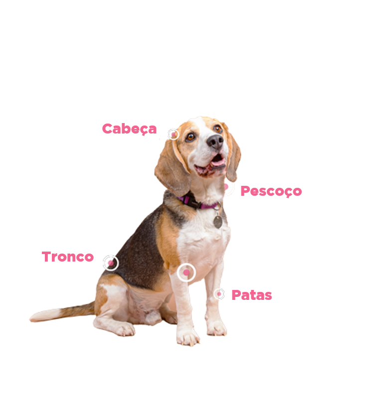 dog-locations-text.png