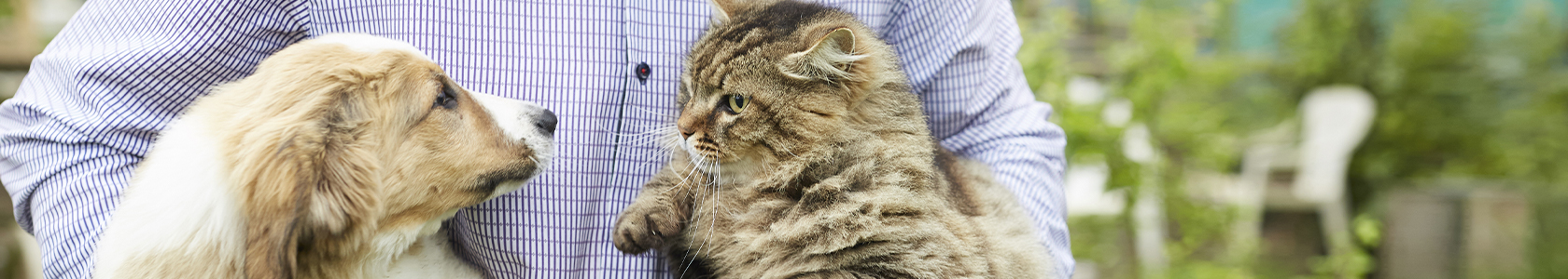 Cão e gato com tutor_1680X300