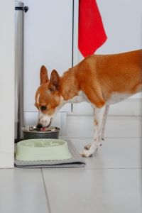 Cushing_Aumento Sede_300x200.jpg