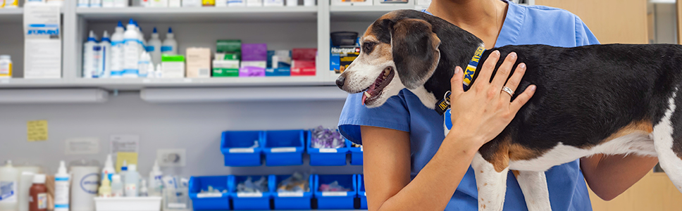 Saiba mais sobre EFFITIX