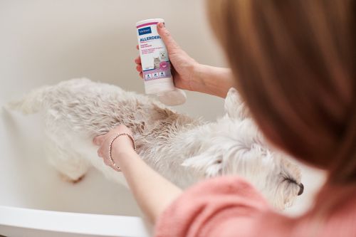 Cao a tomar banho_Dermatite Atopica em Caes_Doencas.jpg