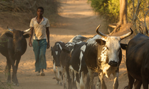 Responsabilidade social