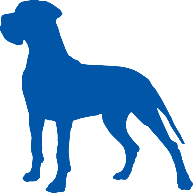 Chien_09.png